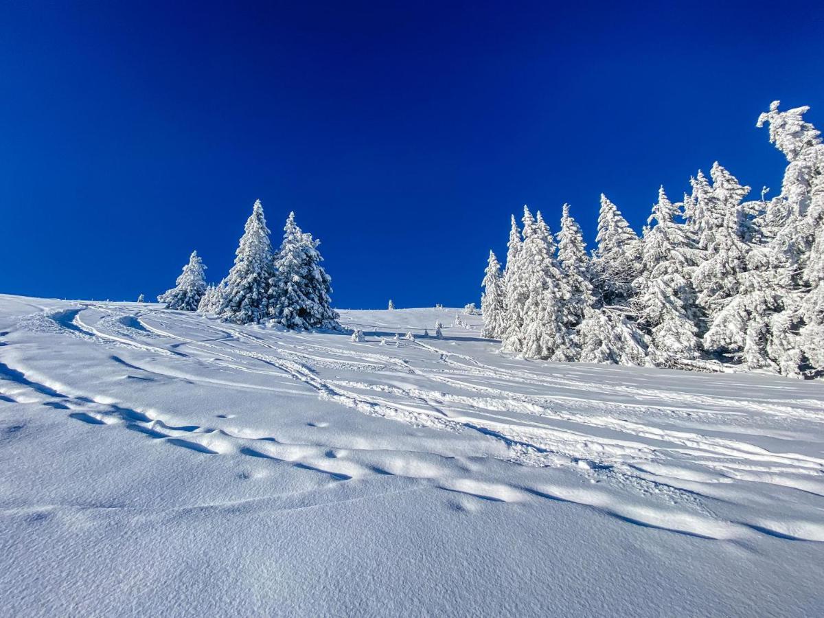Ferienwohnungen Am Skilift Herrischried Extérieur photo