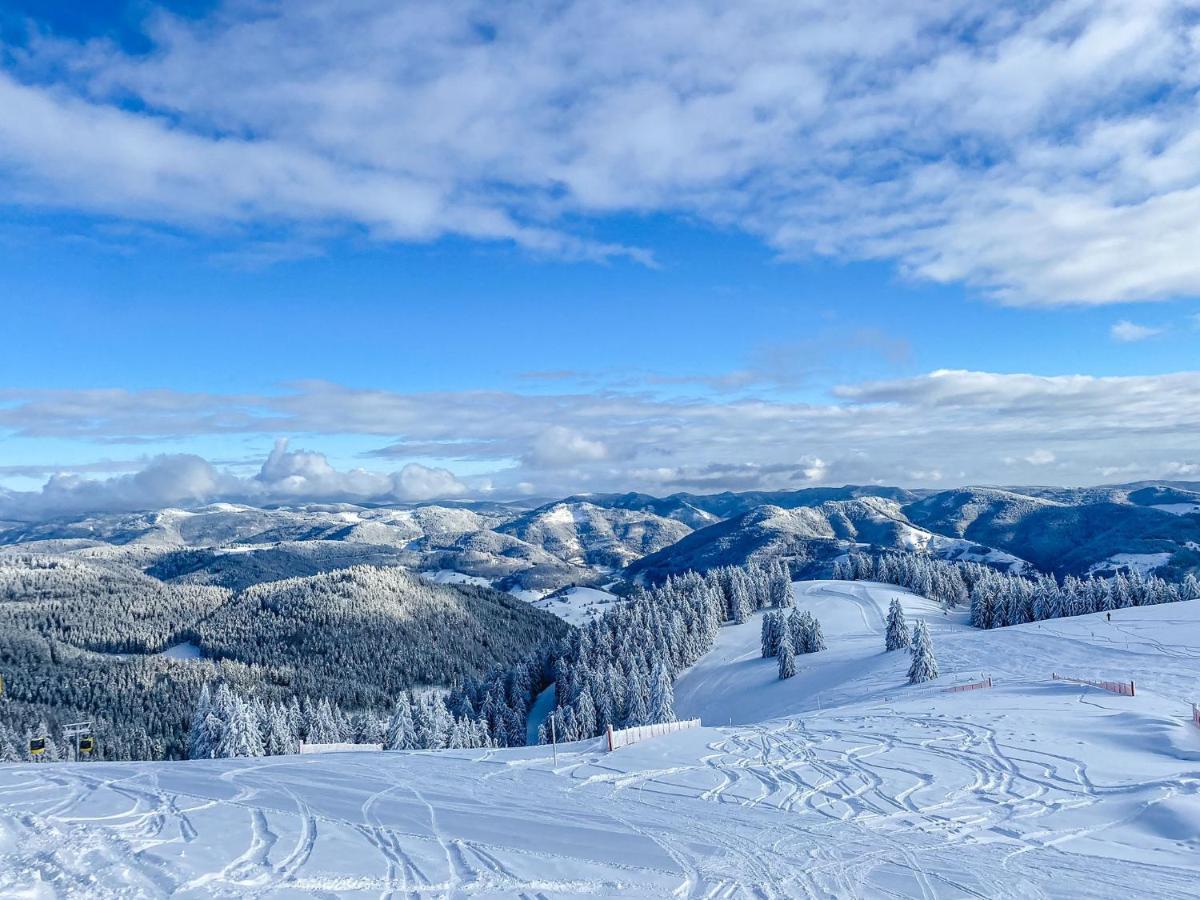 Ferienwohnungen Am Skilift Herrischried Extérieur photo