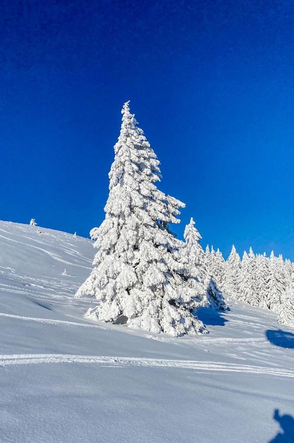 Ferienwohnungen Am Skilift Herrischried Extérieur photo