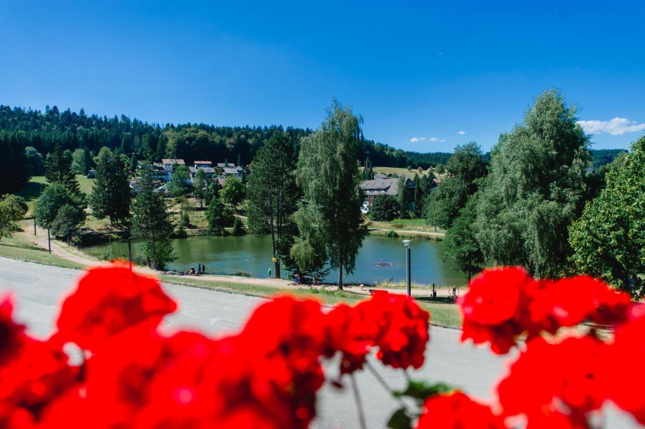 Ferienwohnungen Am Skilift Herrischried Extérieur photo