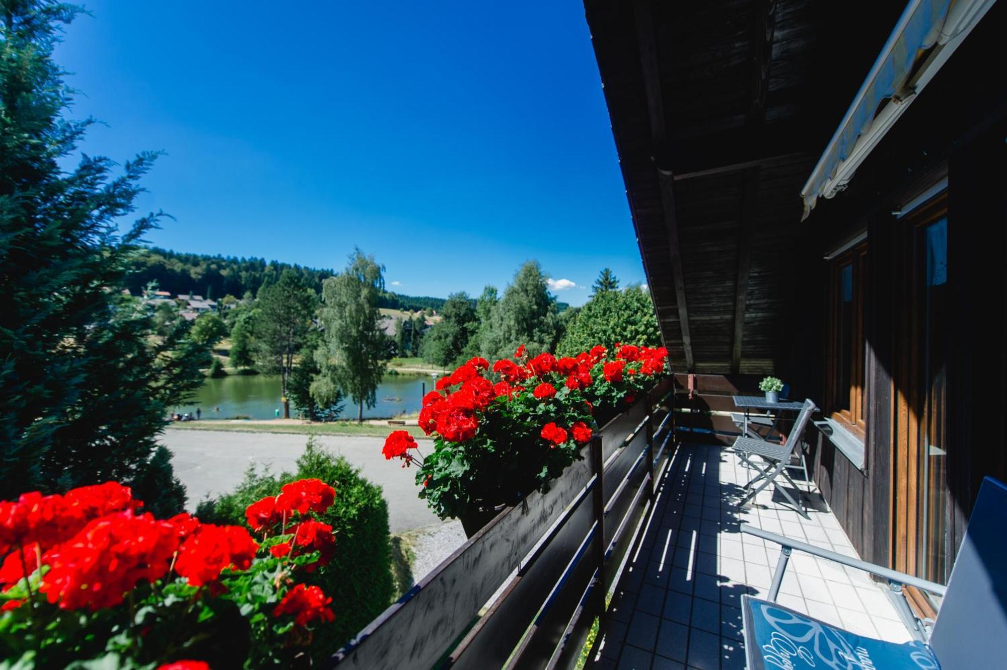 Ferienwohnungen Am Skilift Herrischried Extérieur photo