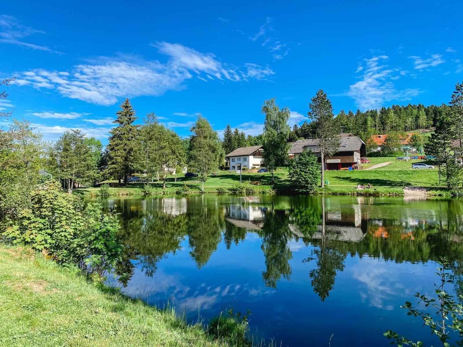 Ferienwohnungen Am Skilift Herrischried Extérieur photo
