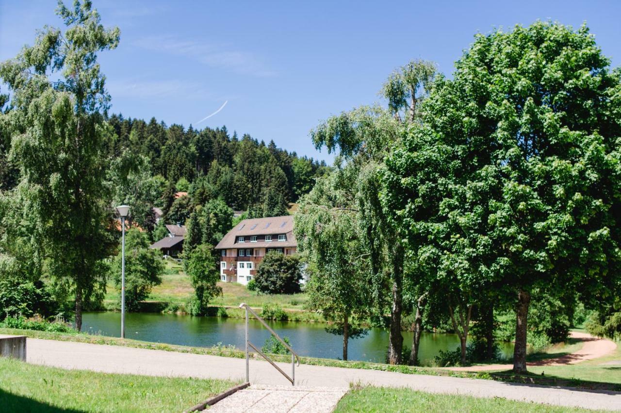 Ferienwohnungen Am Skilift Herrischried Extérieur photo