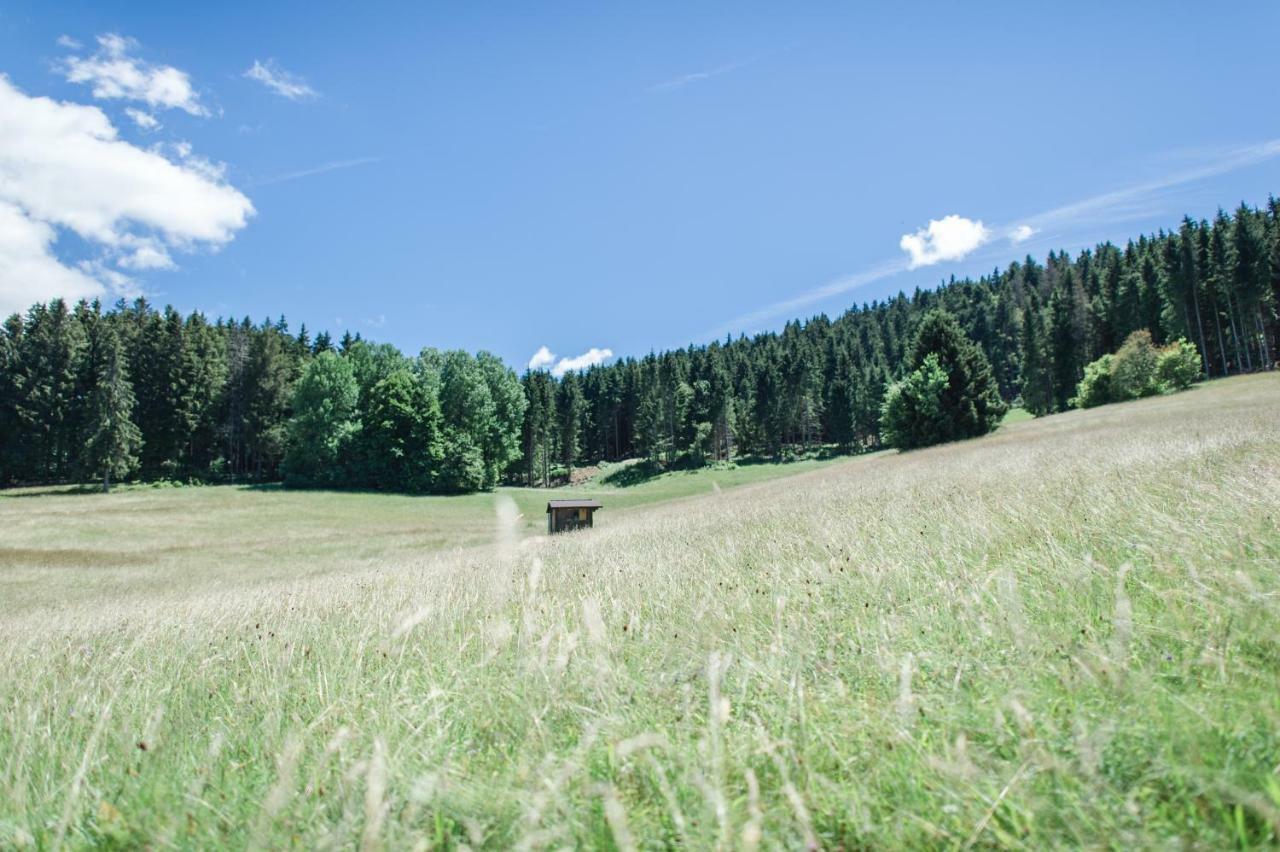 Ferienwohnungen Am Skilift Herrischried Extérieur photo