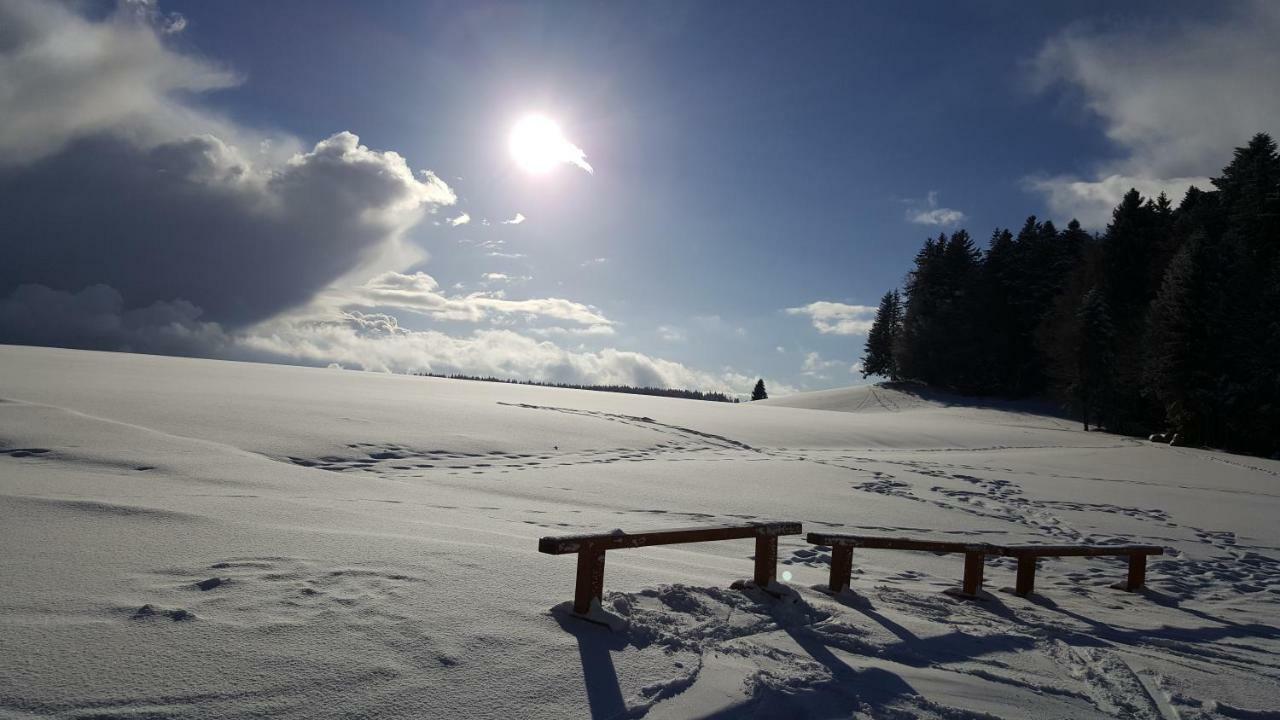 Ferienwohnungen Am Skilift Herrischried Extérieur photo
