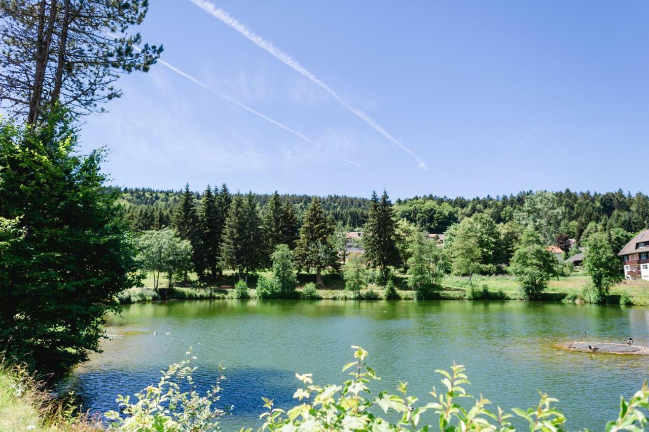 Ferienwohnungen Am Skilift Herrischried Extérieur photo