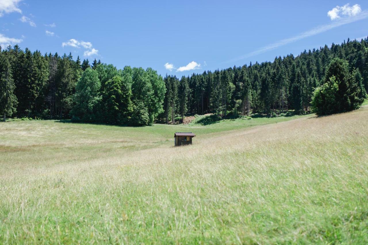 Ferienwohnungen Am Skilift Herrischried Extérieur photo