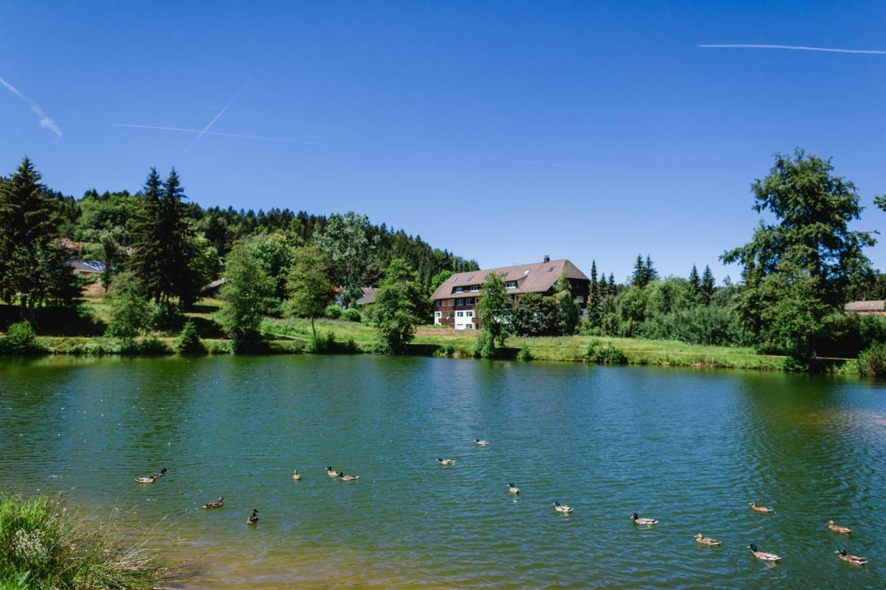 Ferienwohnungen Am Skilift Herrischried Extérieur photo