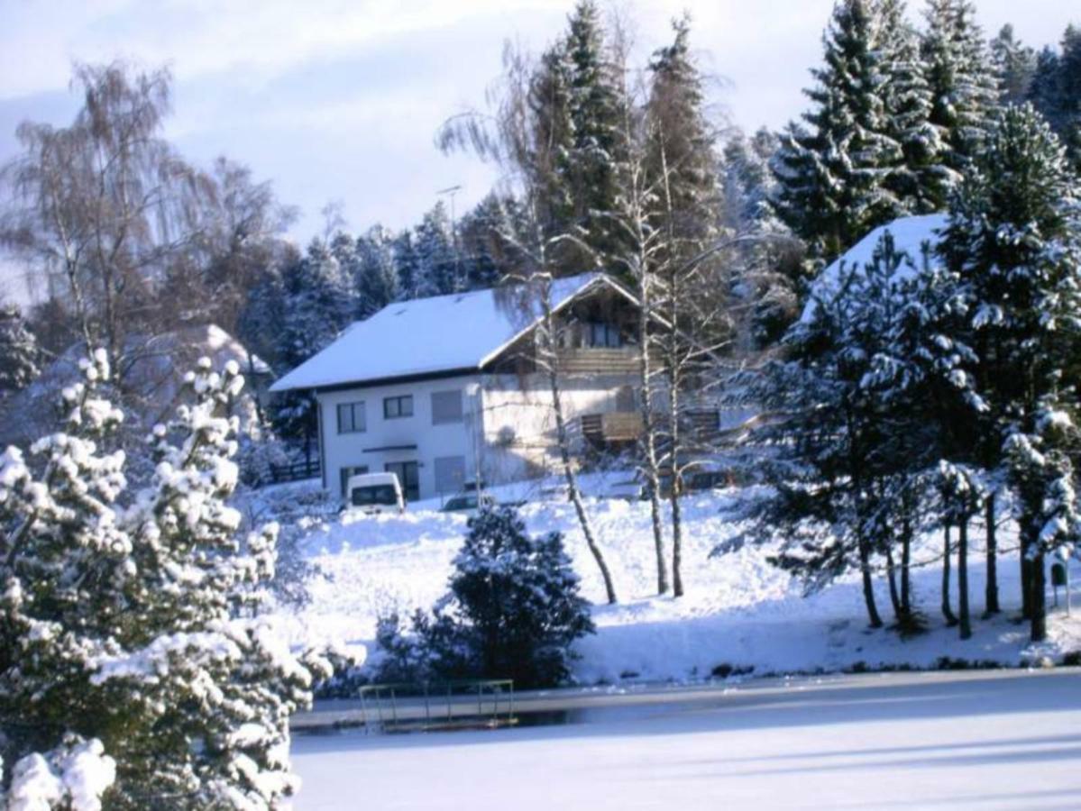 Ferienwohnungen Am Skilift Herrischried Extérieur photo