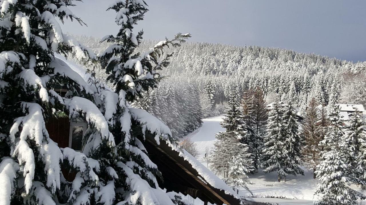 Ferienwohnungen Am Skilift Herrischried Extérieur photo